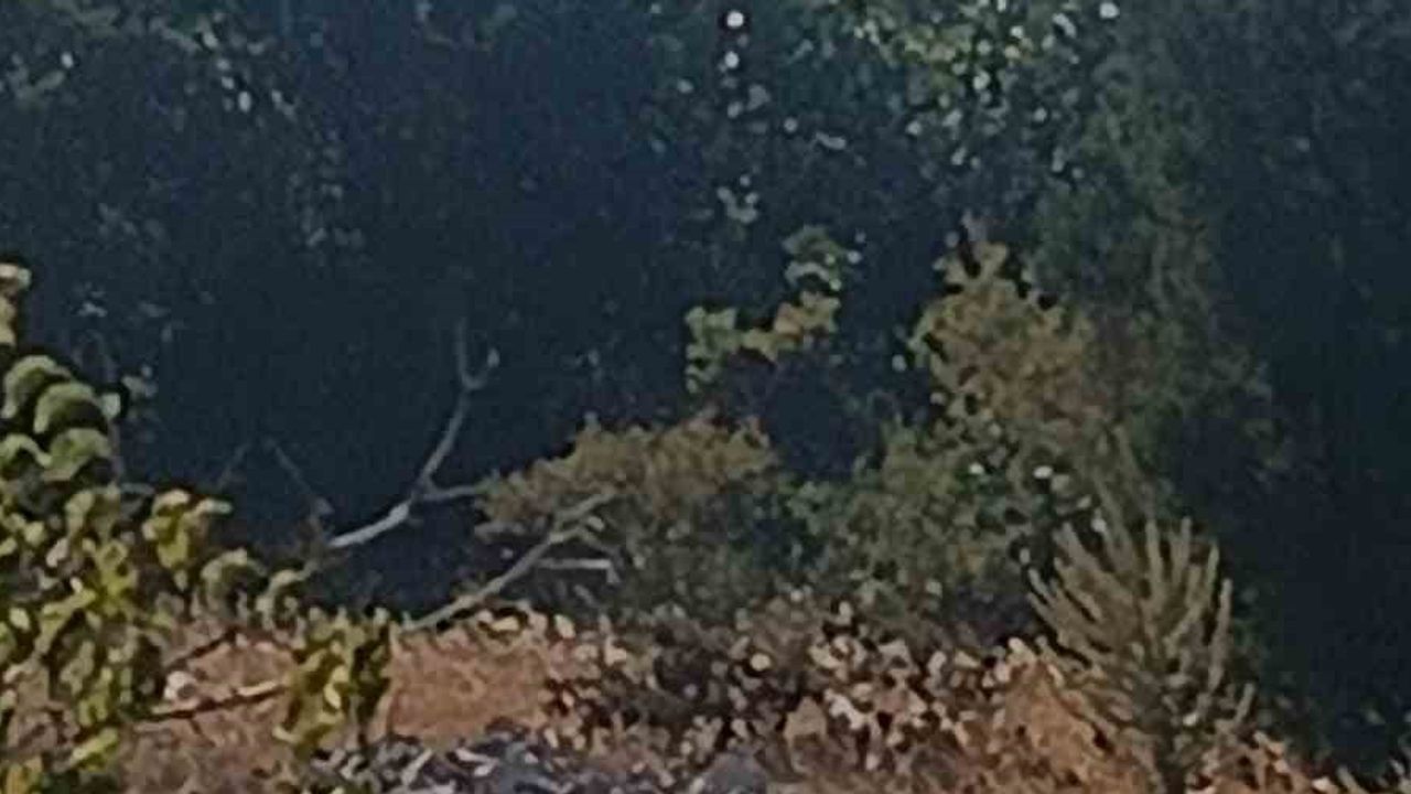Karacalar köyü çevresinde çıkan yangın hızla kontrol altına alındı
