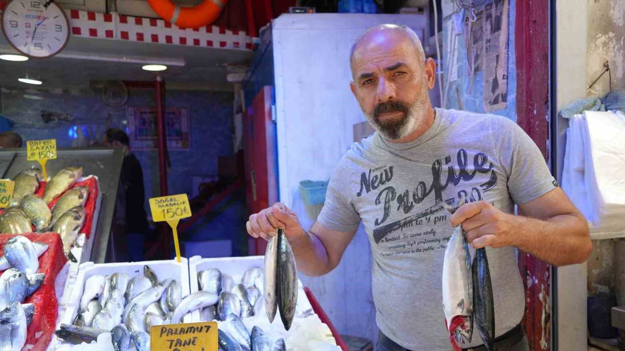 Karadeniz'de palamut bereketi tezgahlar hızla doluyor