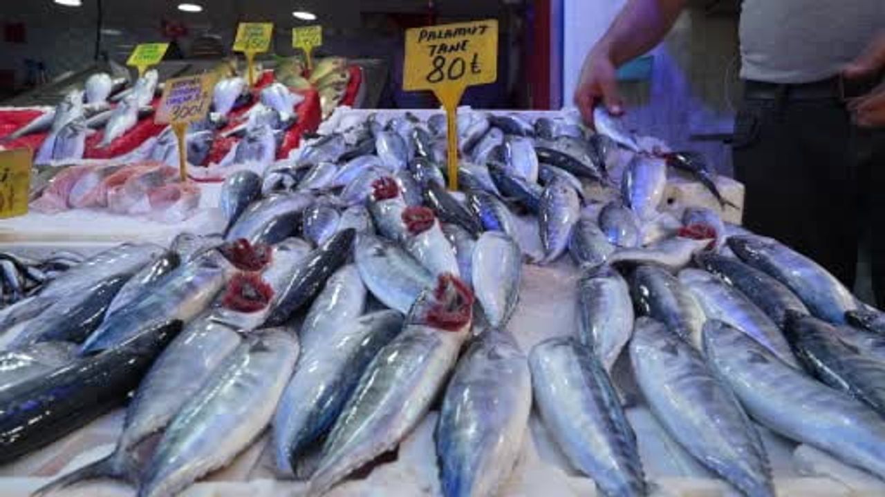 Karadeniz'de palamut sürüsü tezgahları canlandırdı