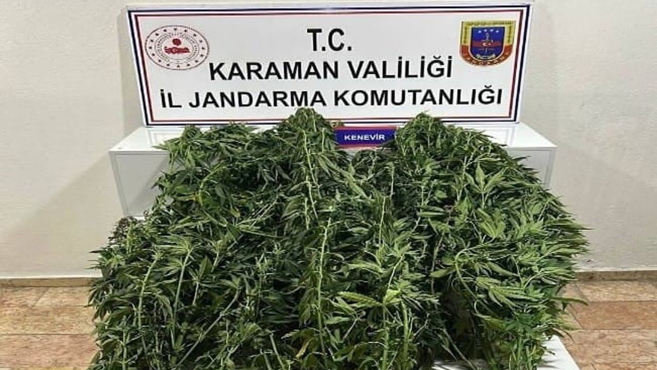 Karaman'da jandarma denetiminde aranan 44 kişi yakalandı, 9'u tutuklandı
