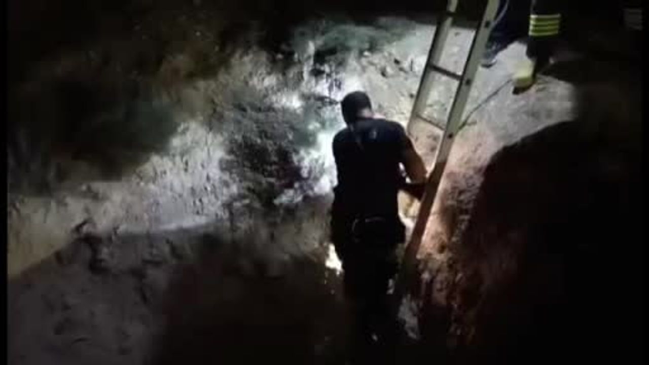 Karapınar'da merada düşen kuzu on metrelik çukurdan itfaiye ile kurtarıldı