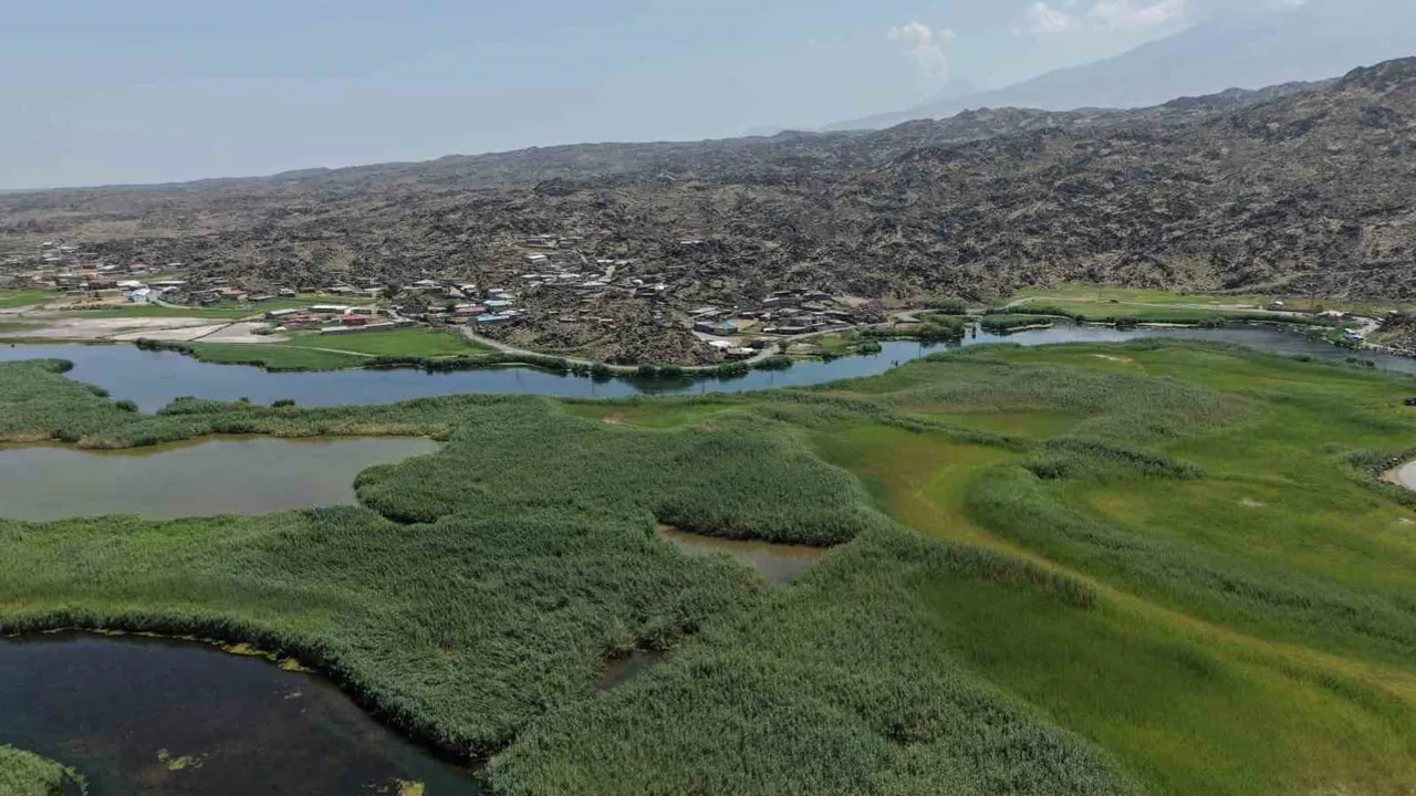 Karasu sazlığında eriyen kar suları kartpostallık manzara yarattı