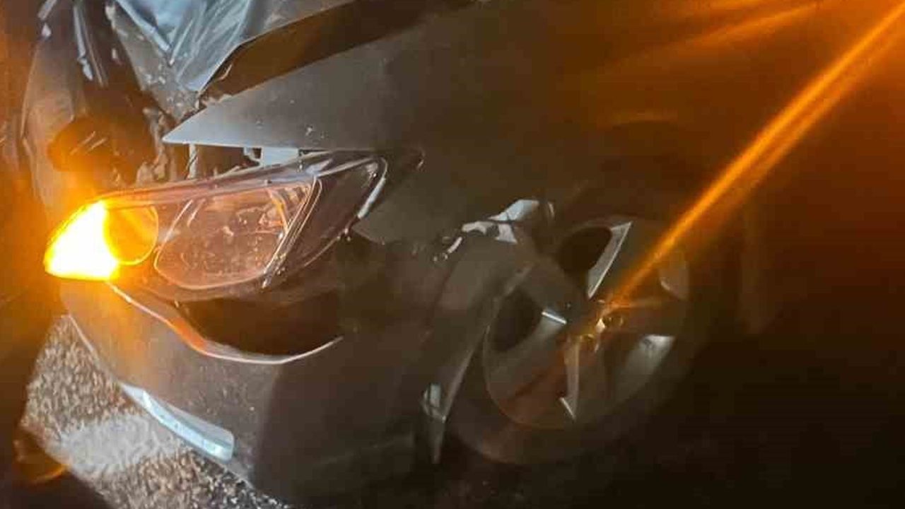 Karayola aniden çıkan eşek Atakent köyü civarında kazaya yol açtı