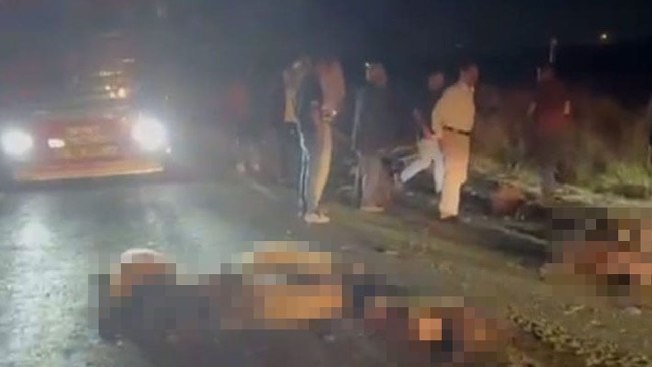 Kargo aracıyla koyun sürüsünün çarpışması Muş yolunda büyük kayba yol açtı