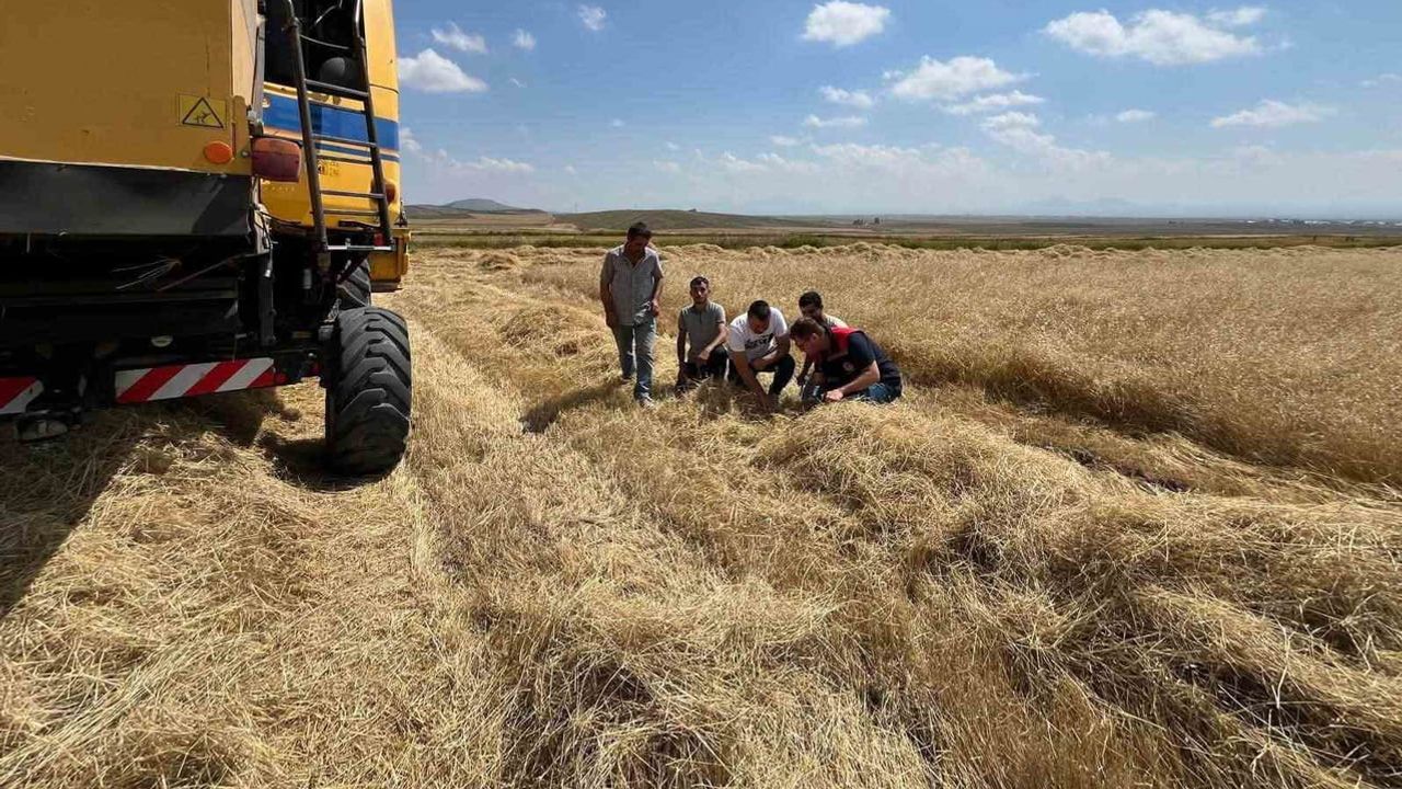 Kars’ta biçerdöver denetimleri sıkılaştırıldı, hasatta kayıp önceliği
