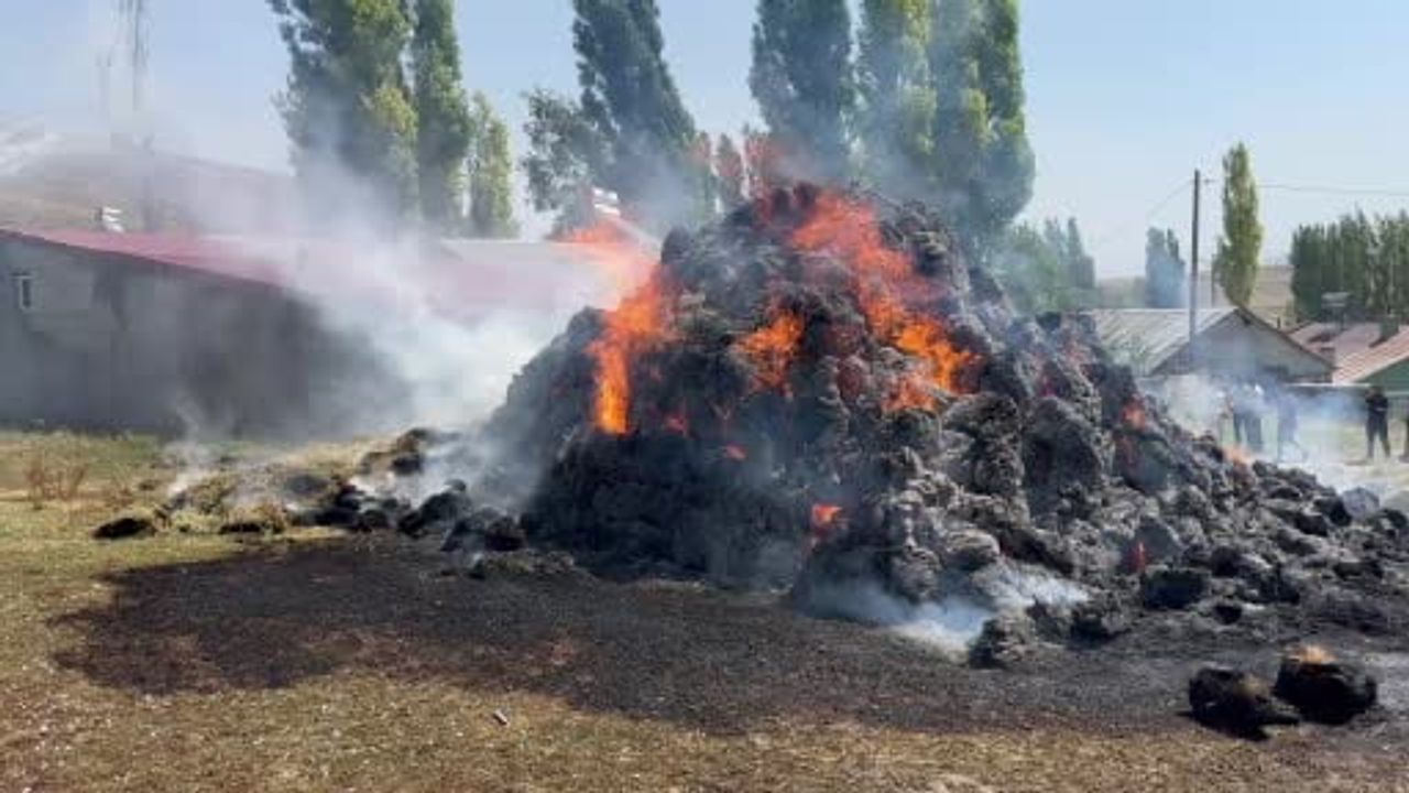 Kars'ta bir yıllık emek alevlere teslim oldu: bin balya kül oldu