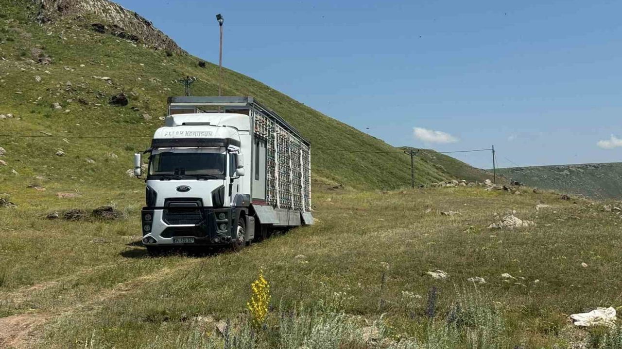 Kars'ta güneşle çalışan mobil arı üretim üssü arıcılığa yeni soluk getirdi