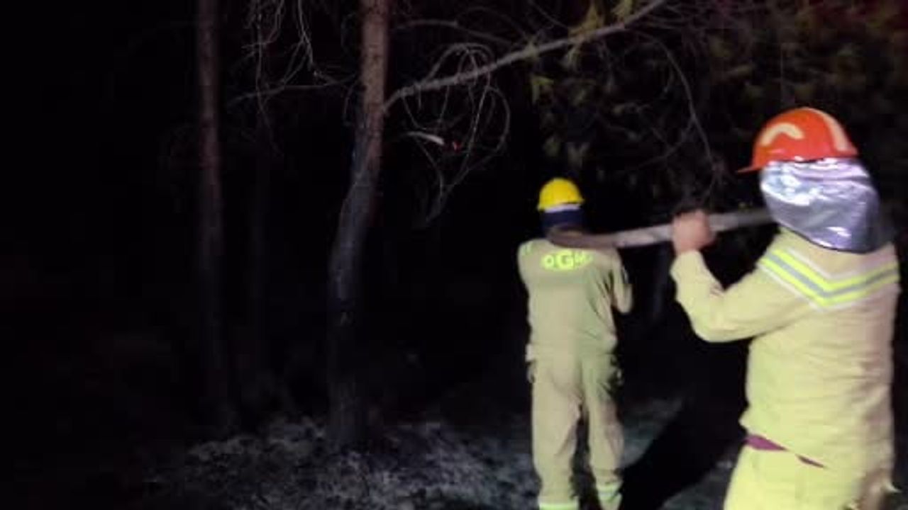 Kaş'ta yangın büyük ölçüde kontrol altına alındı; hasar tespiti sürüyor