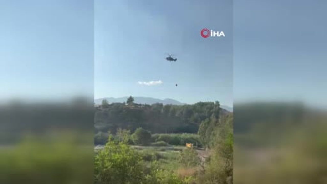 Kaş yangınında hayvanların kurtuluş anı