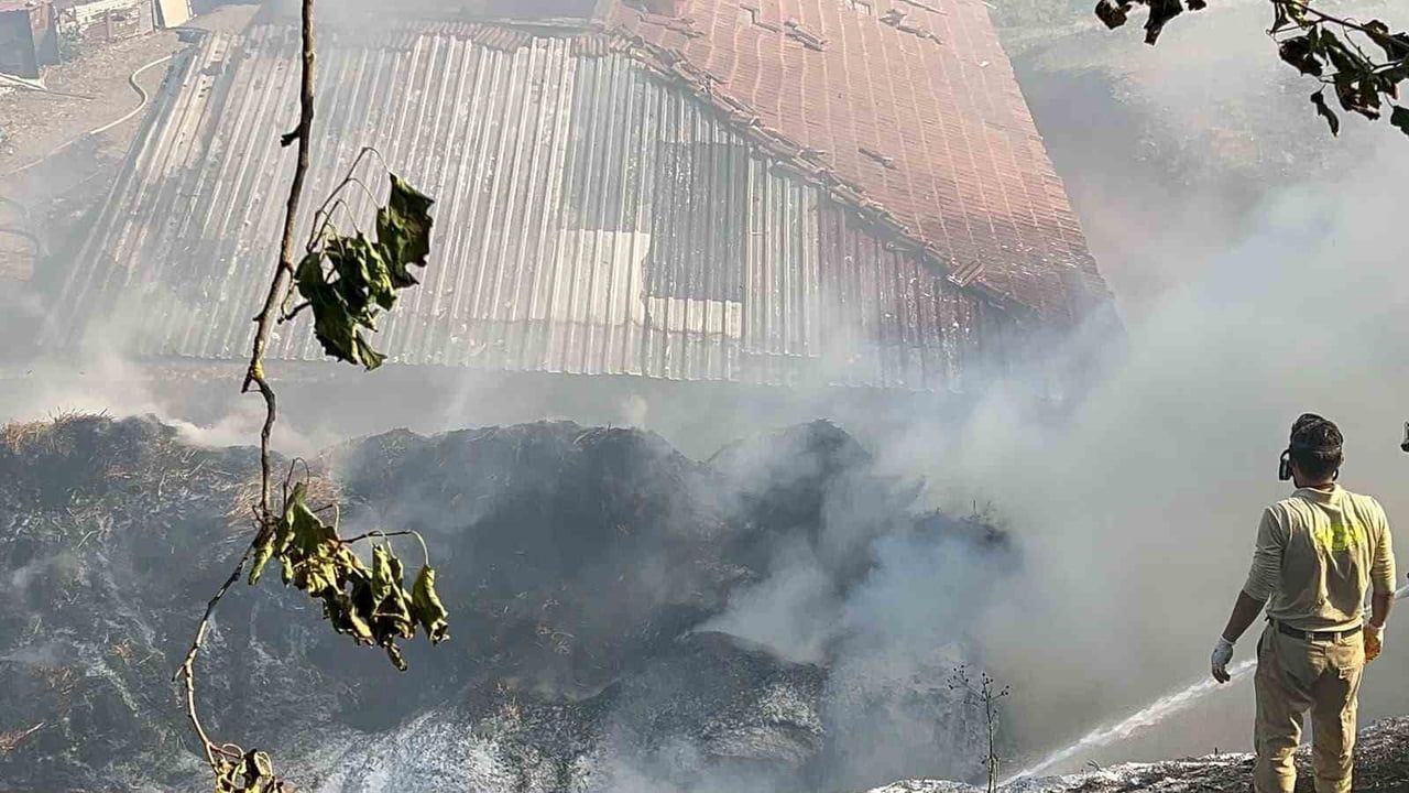 Kastamonu'da samanlık yangını ahırları vurdu: 14 büyükbaş telef oldu