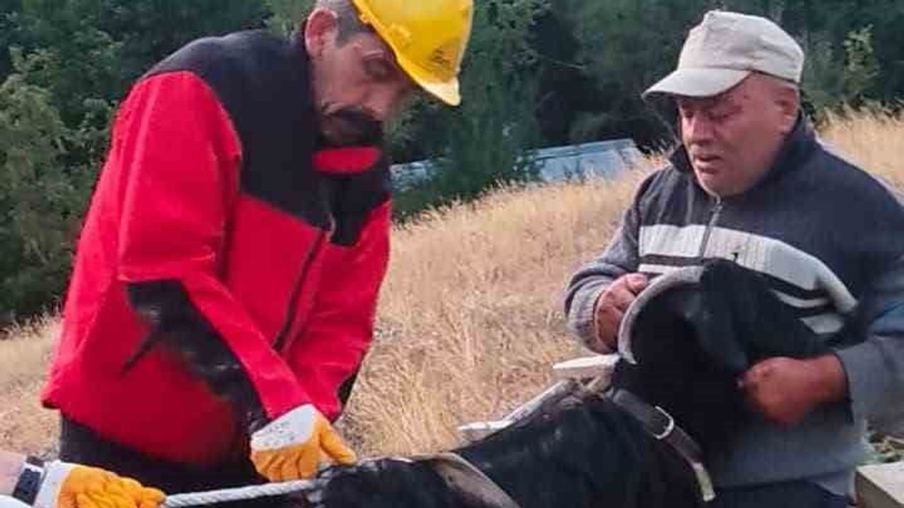 Kavallar’da halatla kurtarılan keçi sağ salim sahibine döndü