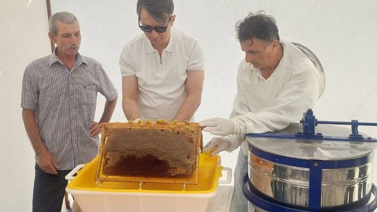 Kaymakam Fatih Özcan Halitpaşa'da arıcılarla bal hasadını ve inovasyonu yerinde inceledi