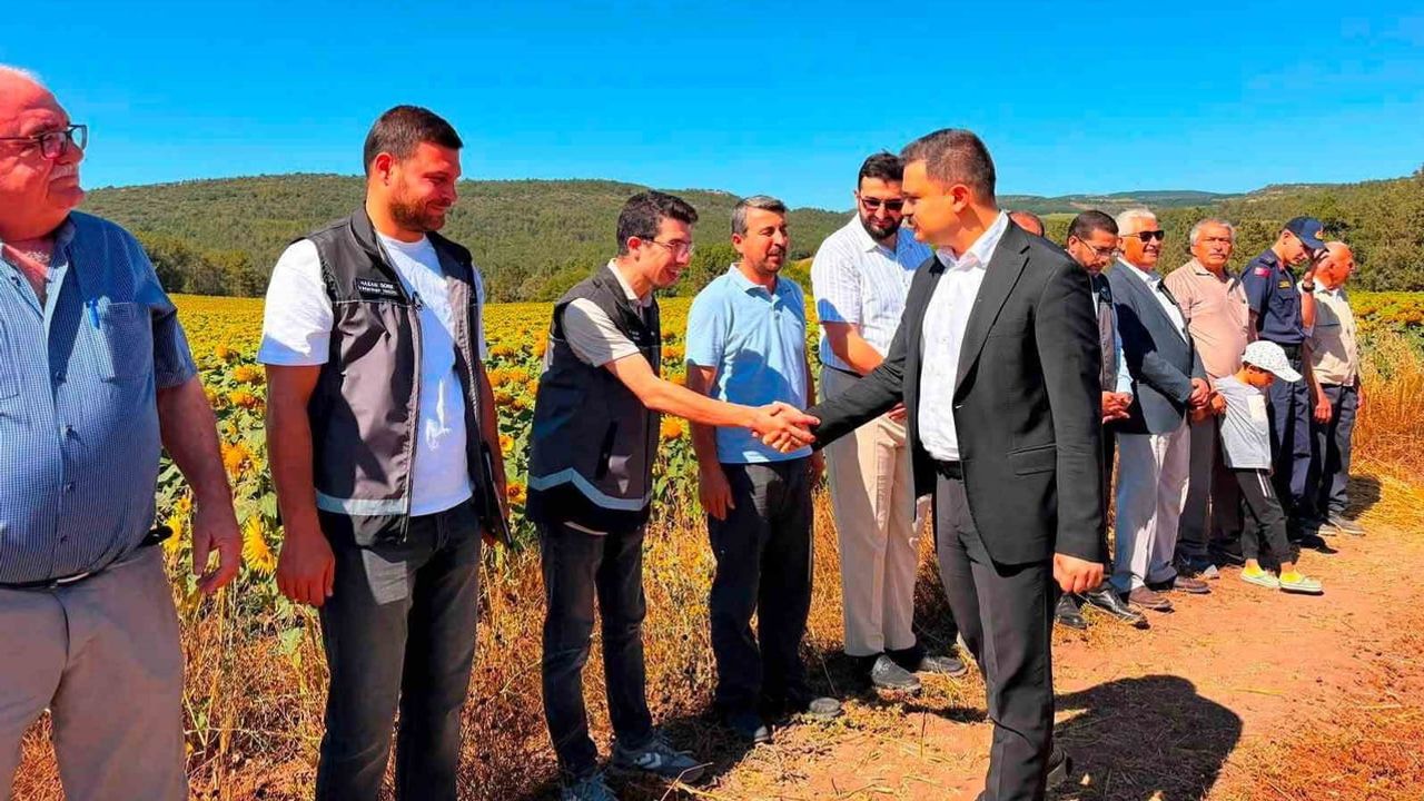 Kaymakam Titiz Tongurlar'da çiftçilerin hasat sevincine ortak oldu