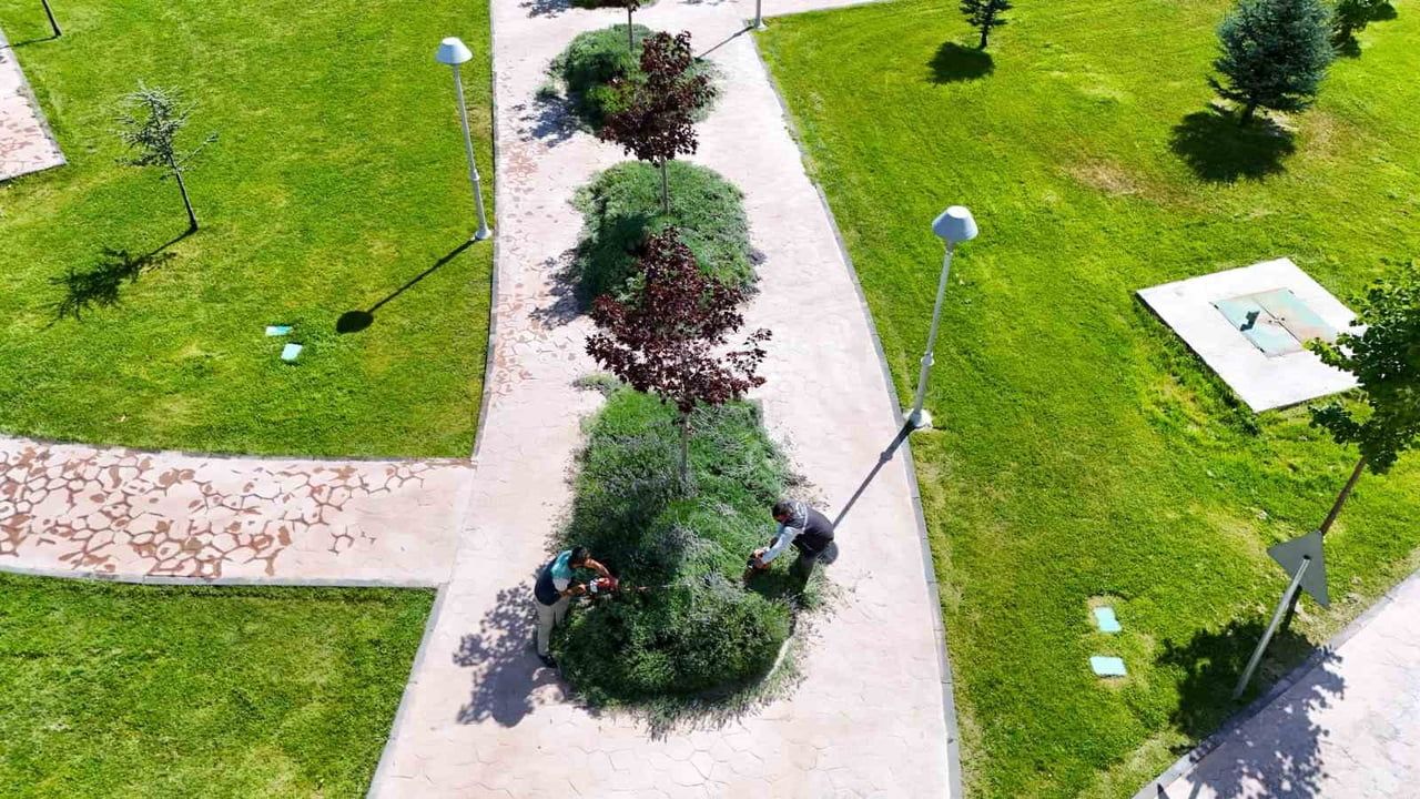 Kayseri'nin mor mirası: lavantadan saf yağa ve kolonyaya dönüşen hasat başladı