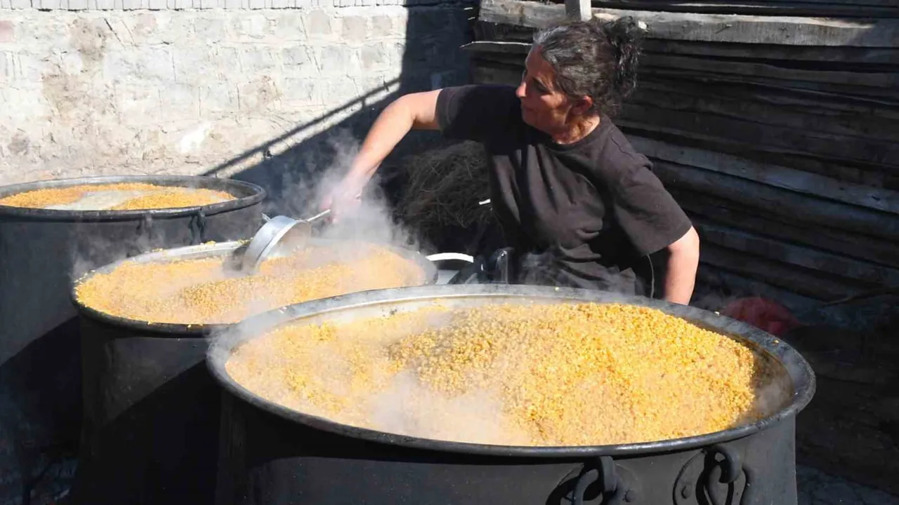 Kazanlar yeniden kaynamaya başladı Büyükmahal'de: Sarı Bursa buğdayıyla bulgur mesaisi
