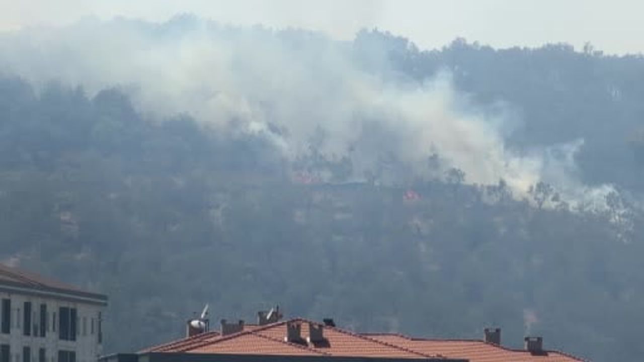 Kazdağları eteklerindeki yangın Zeytinli Mahallesi yönüne çevrildi
