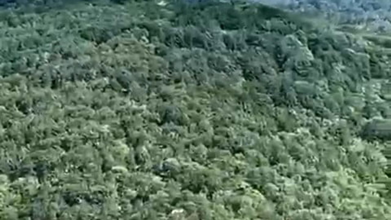 Kazdağları'nda yıldırımın tetiklediği orman yangınına hava ve kara ekipleri müdahale ediyor