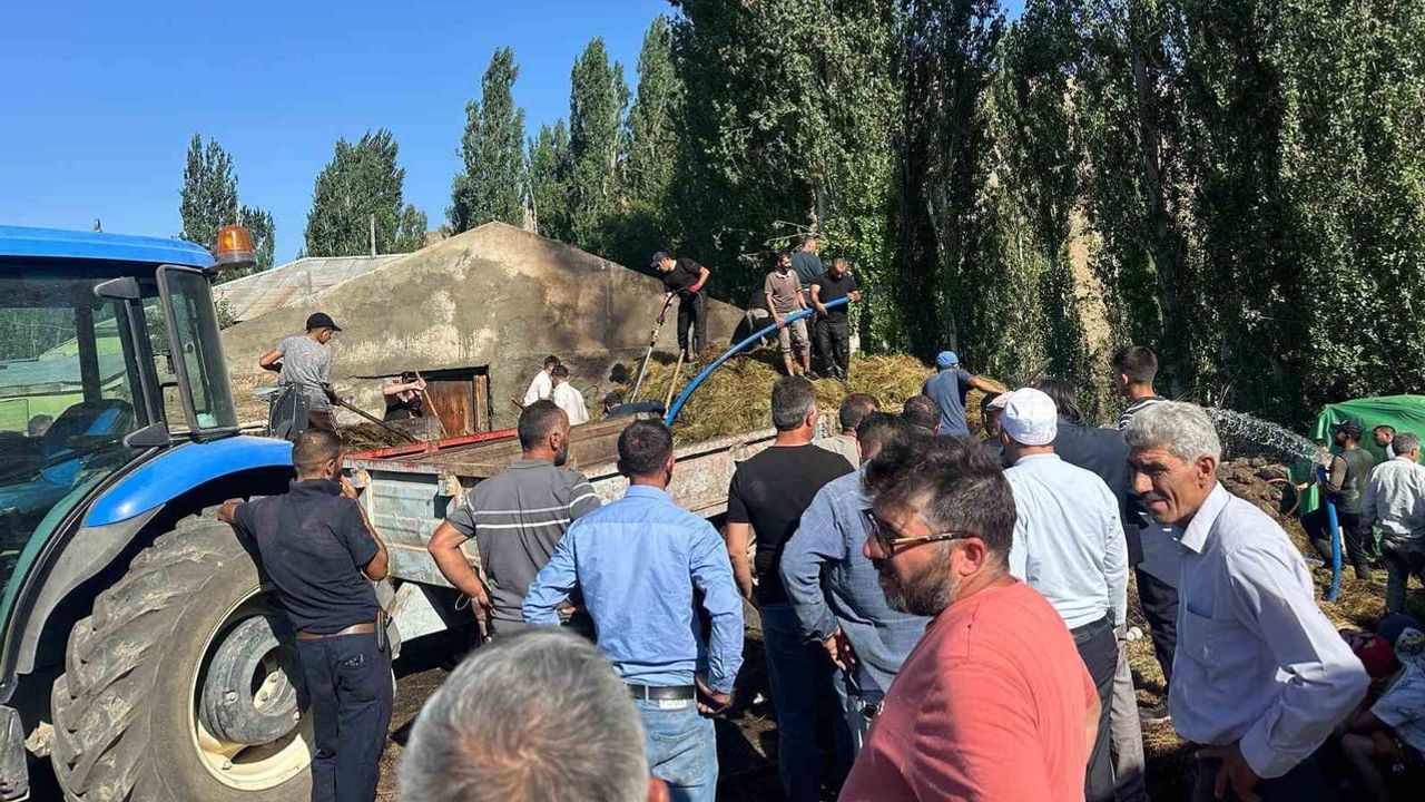 Kazıkkaya'da çıkan yangın 800 balya otu kül etti