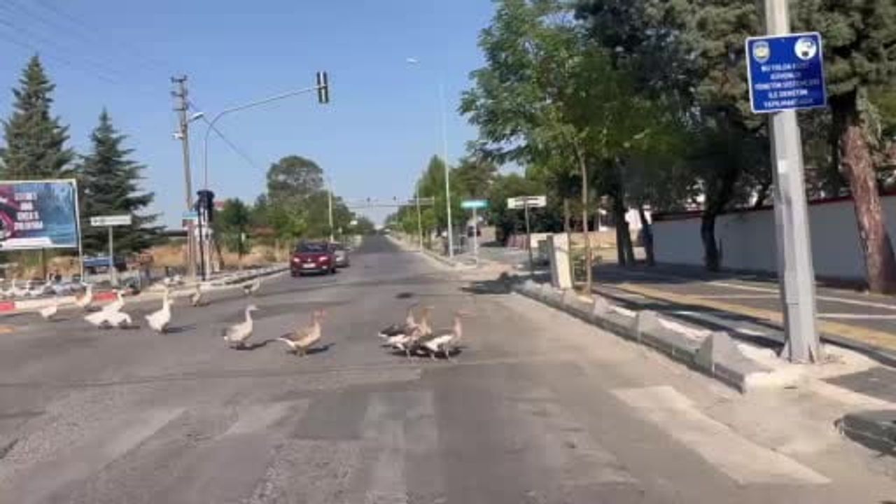 Kazlar Uzunköprü Caddesi'nde trafiği yavaşlattı