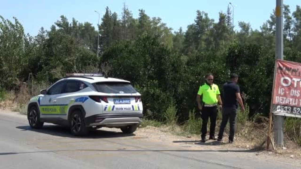 Kediye çarpmamak için yapılan manevra aracın portakal bahçesine uçmasına neden oldu