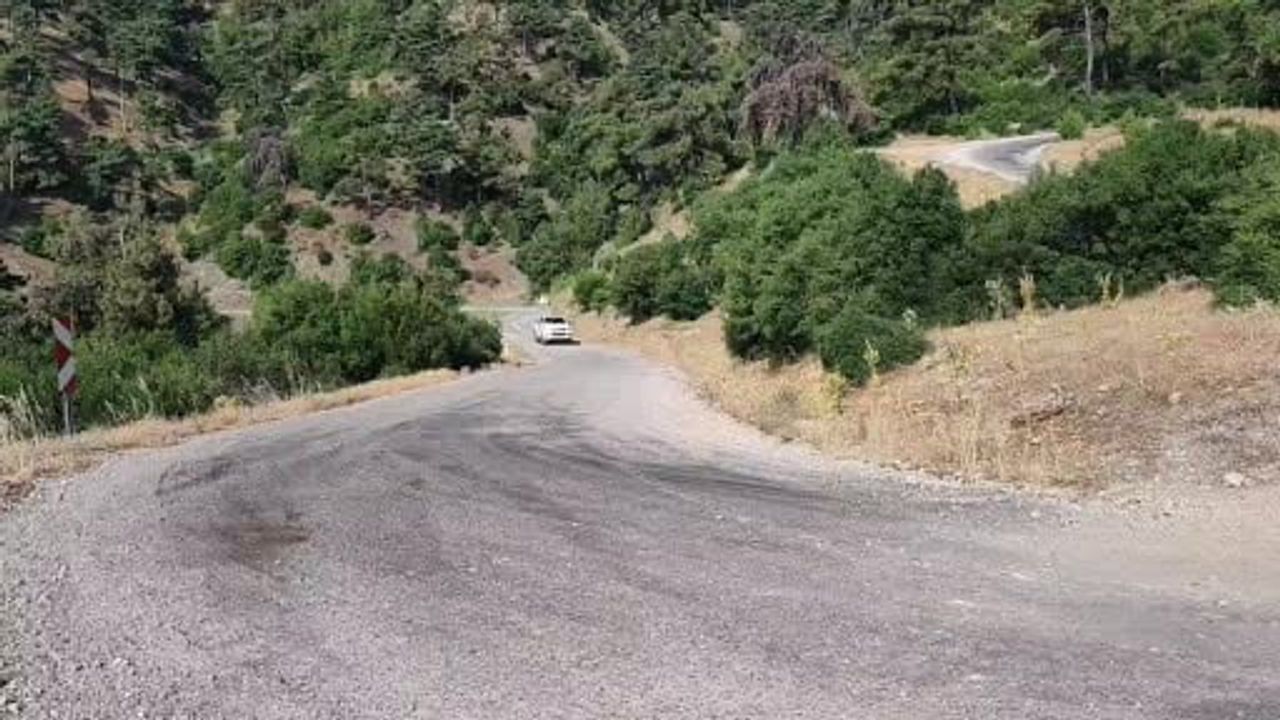 Kekliklerin dönüşü: Manisa'da bin 200 kınalı keklik doğal yaşamına kazandırıldı