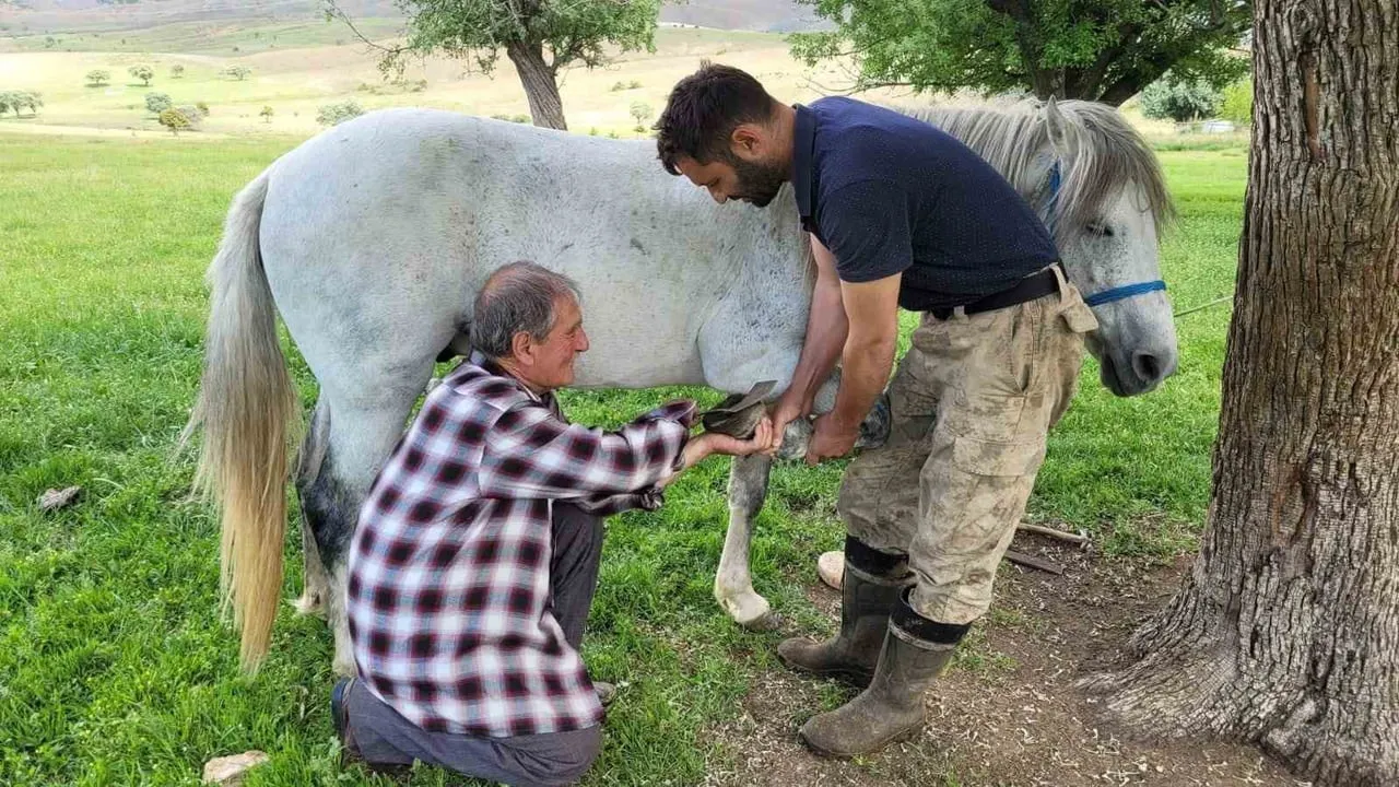Kemaliye'de 50 yıldır nalbantlık yapan Sinan Günay mesleğini yaşatıyor