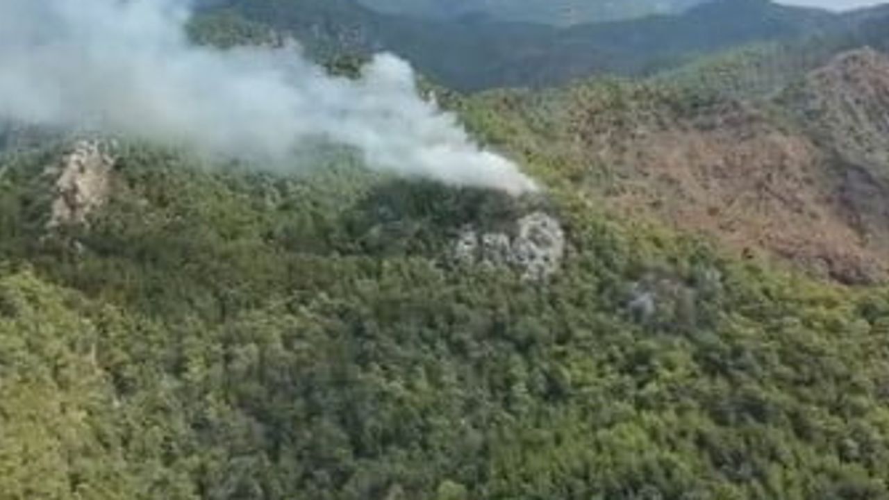 Kemer'de alevler kontrol altına alındı: Çıralı'da soğutma çalışmaları sürüyor