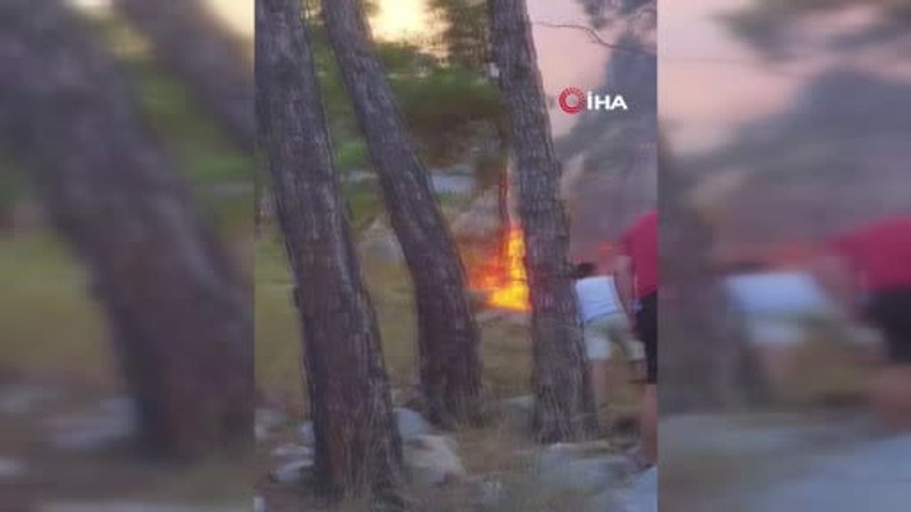 Kemer'de Çıralı mevkiinde alev alarmı: havadan ve karadan müdahale sürüyor
