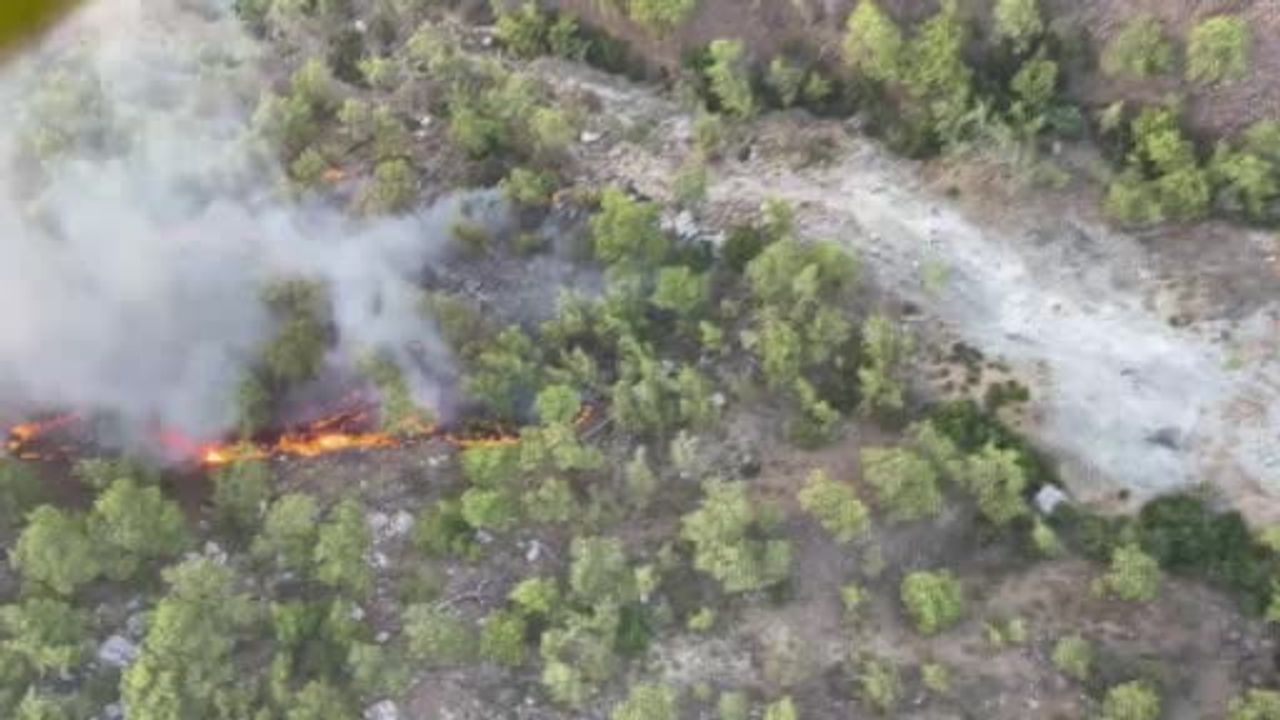 Kemer'de Ulupınar Mahallesi Çıralı mevkiinde orman yangını