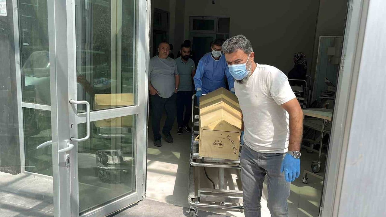 Kene tutulmasının ardından tedavi gören kadın hayatını kaybetti
