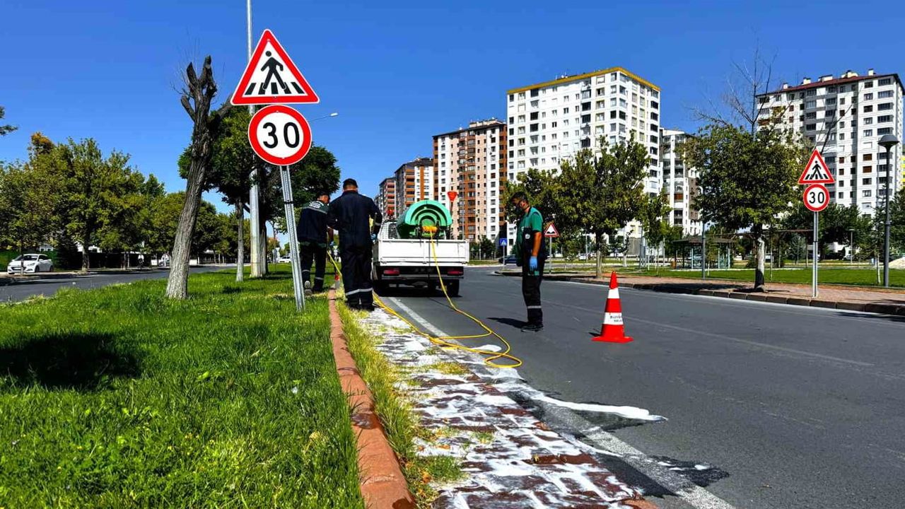 Kentin nefes alanlarını koruma vakti: yeşil alanlarda gece ilaçlaması hızlandı