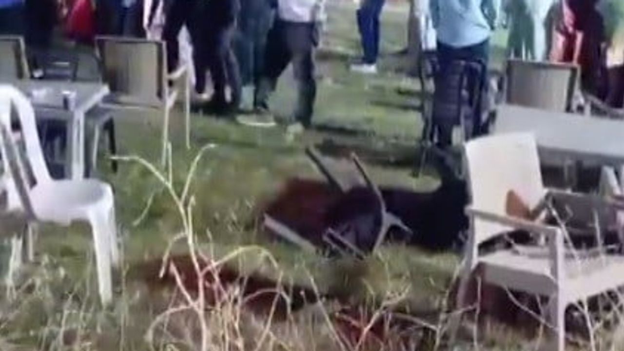 kına merasiminde silahlı ve bıçaklı kavga: bir kişi hayatını kaybetti