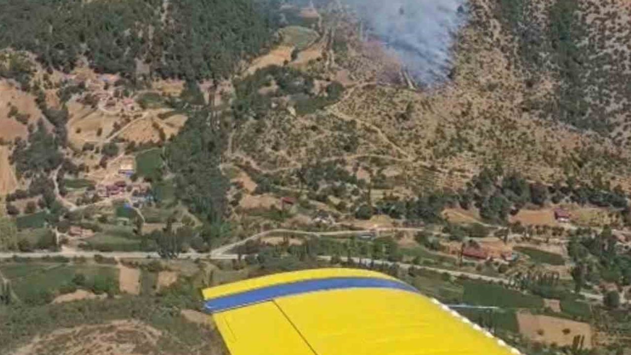 Kiraz'da alevler ormana sıçradı, ekiplerin müdahalesi sürüyor