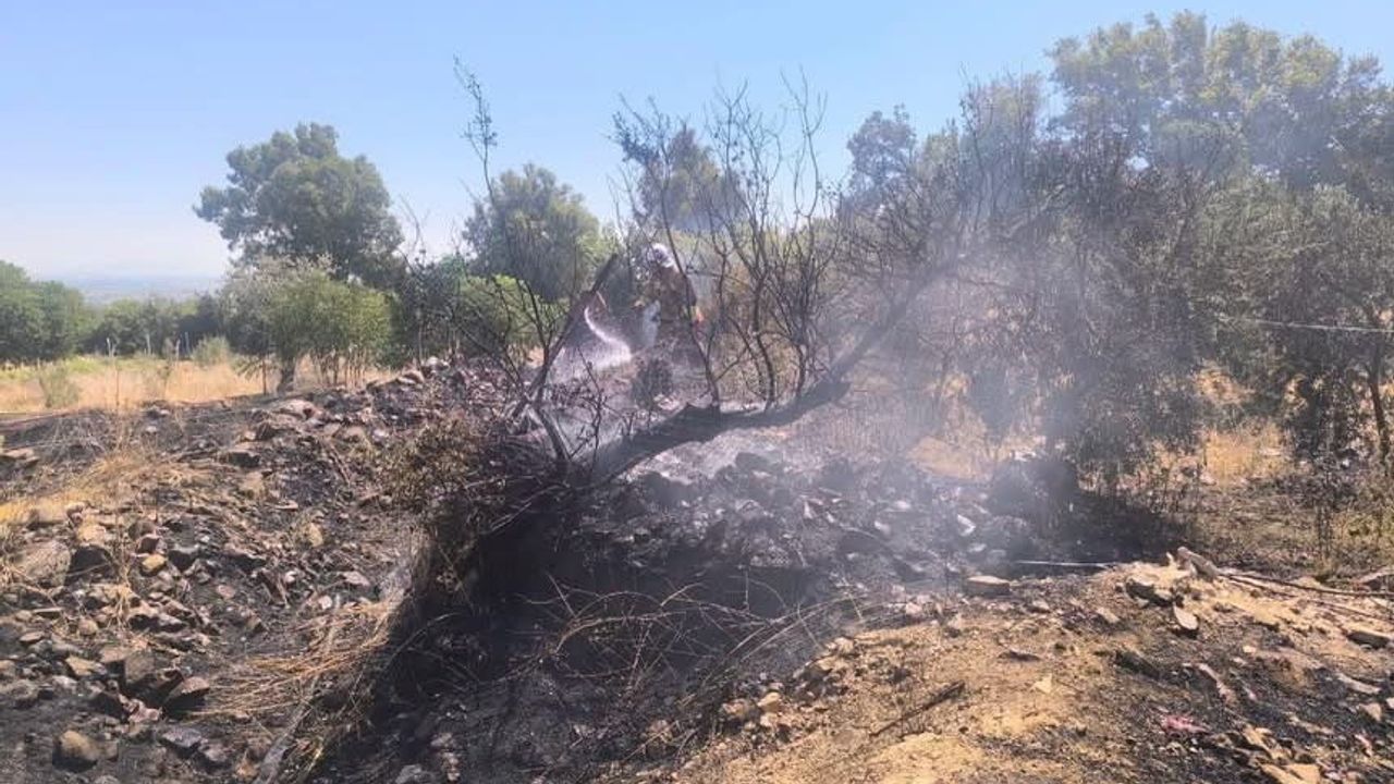 Kırıkhan'da bahçe ve çadır yangını itfaiyenin müdahalesiyle durduruldu