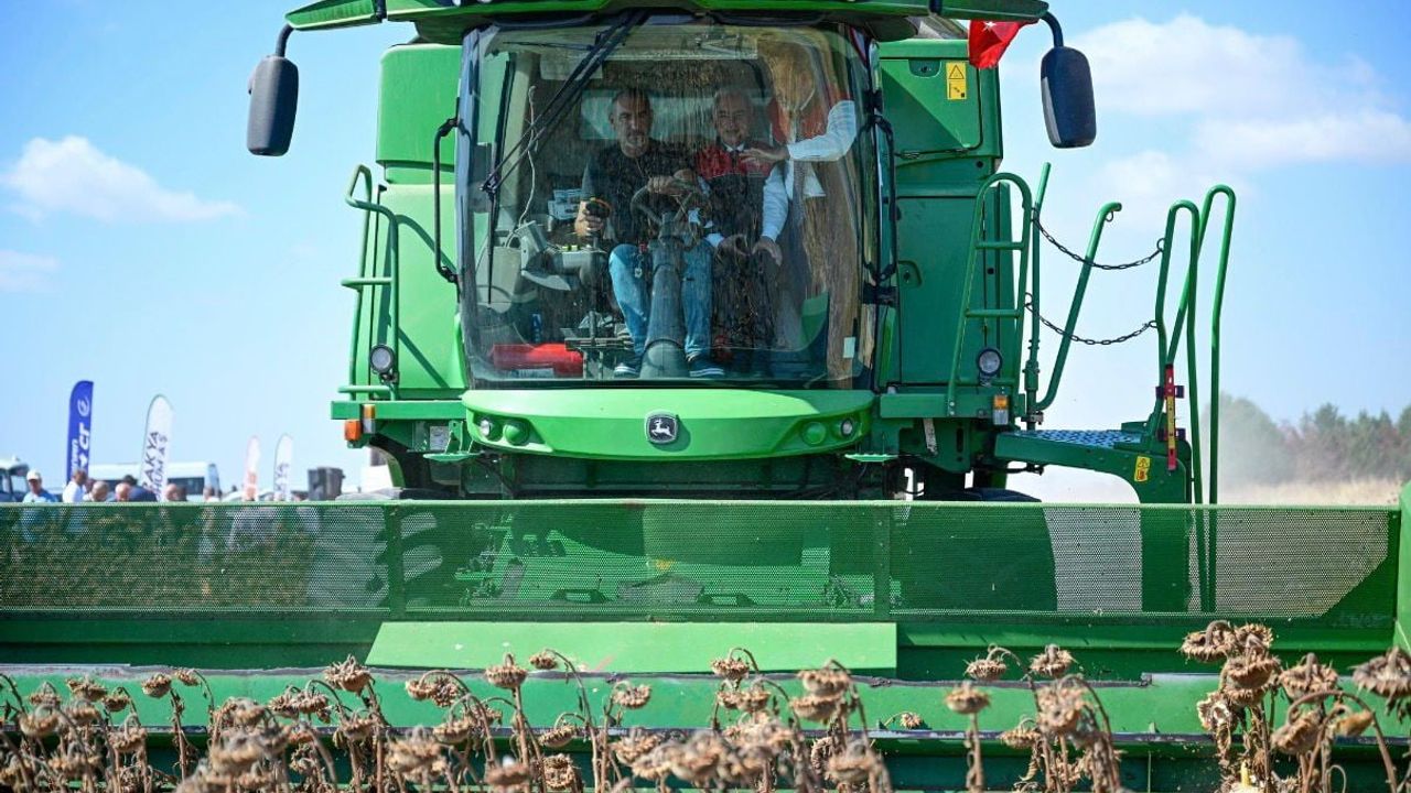 Kırklareli'nde yerli hibrit ayçiçeği hasadı coşkusu
