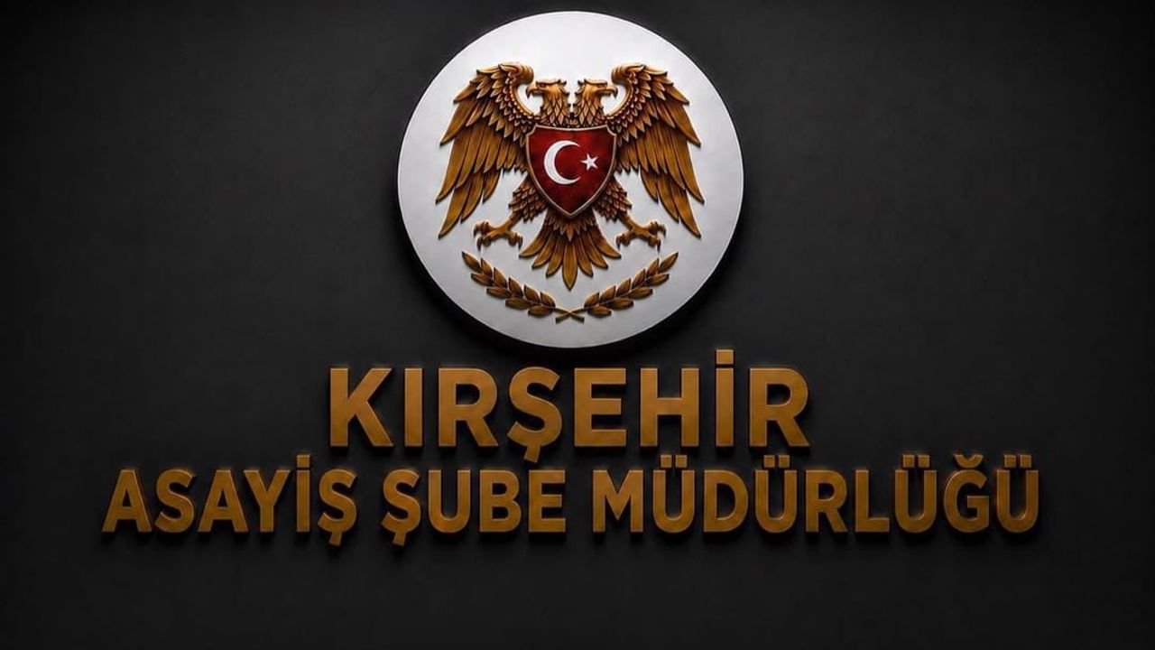Kırşehir'de geniş çaplı uygulama: ruhsatsız silah ve mühimmat ele geçirildi