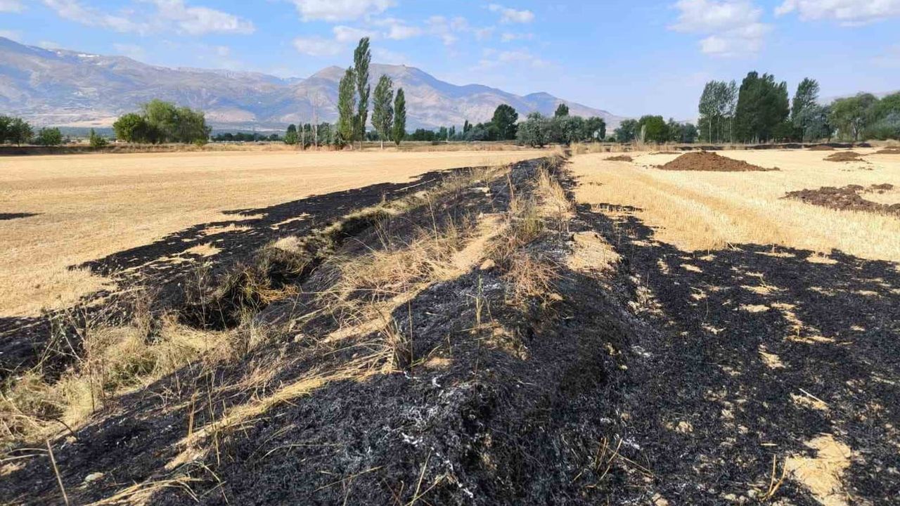 Kısa müdahale arazilerin yanmasını önledi: İzzetpaşa'da yangın büyümeden söndürüldü