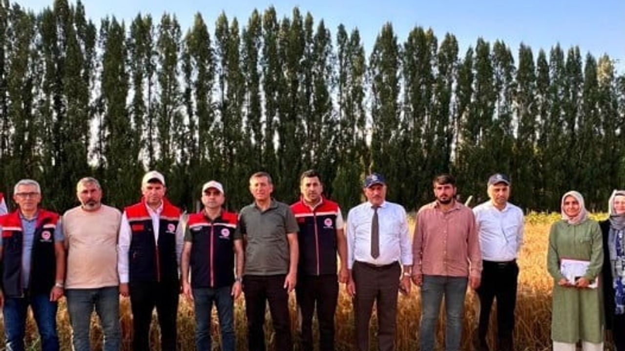 Kışın kazananı Parla: Erzurum'un soğuklarına direnip üreticinin umudu oldu