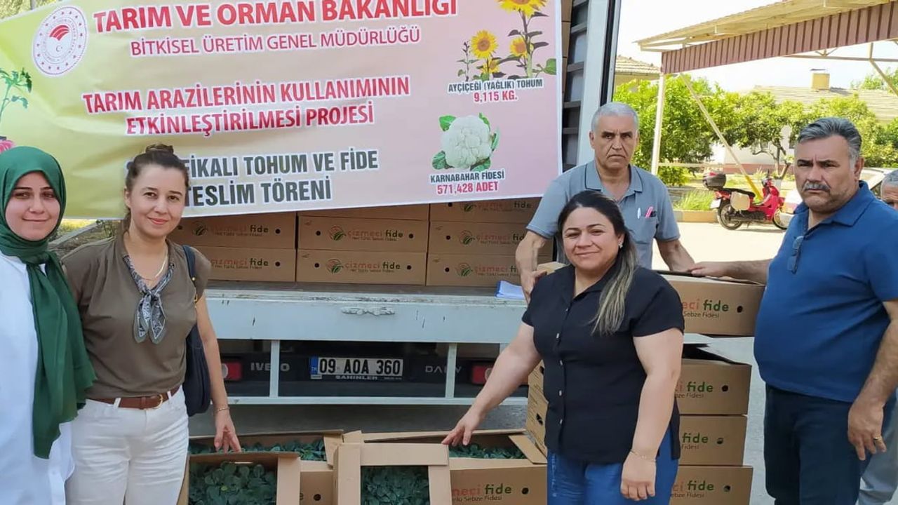 Kışlık üretime destek: Aydın'da 299 bin 600 karnabahar fidesi üreticilerle buluştu