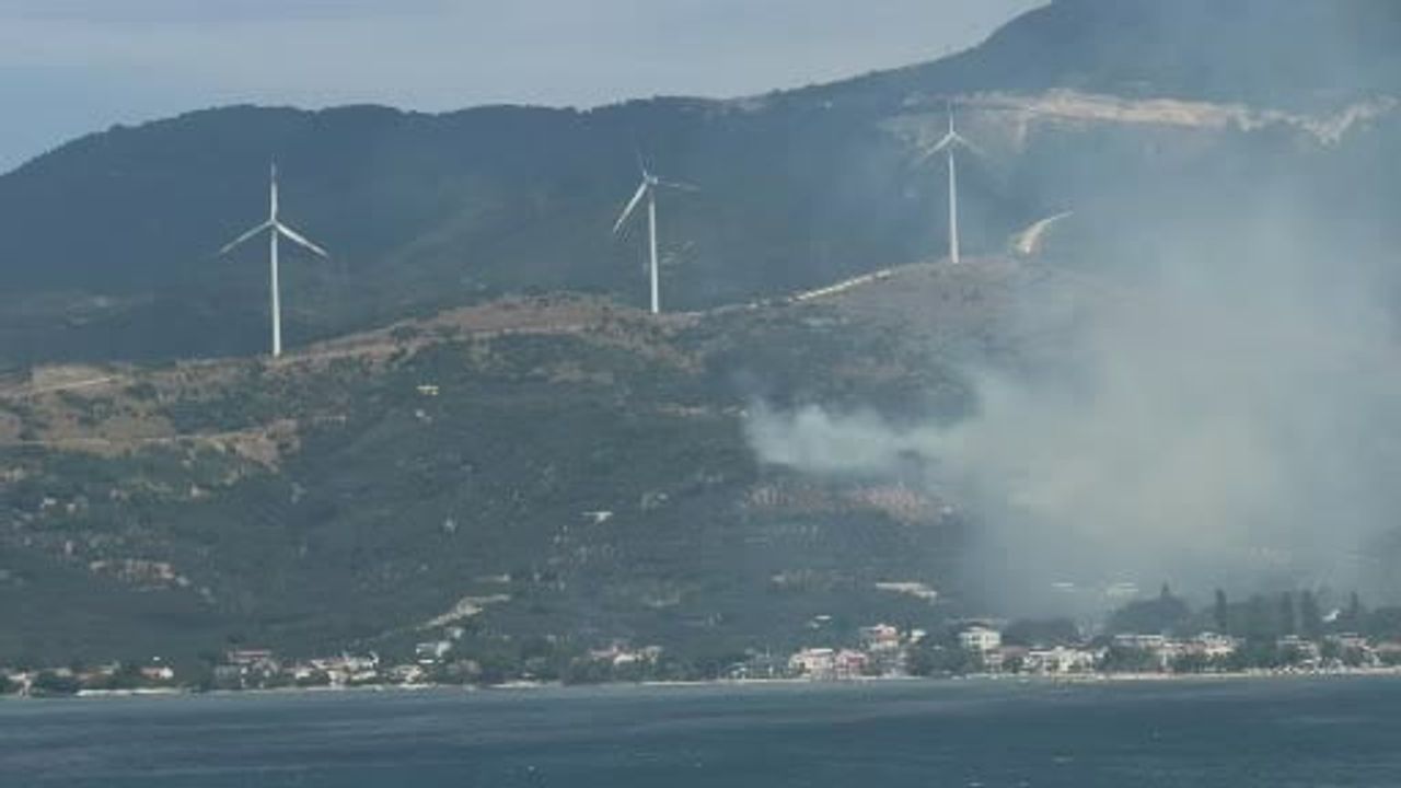 Kıvılcımla başlayan yangın: Marmara'da şüpheli gözaltında