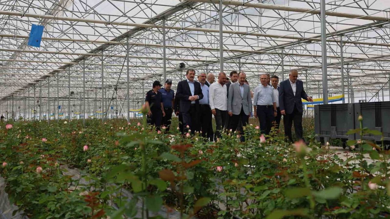 Kıyıda seradan hastaneye: Bafra, Alaçam ve Yakakent'te yatırımlar hız kazanıyor