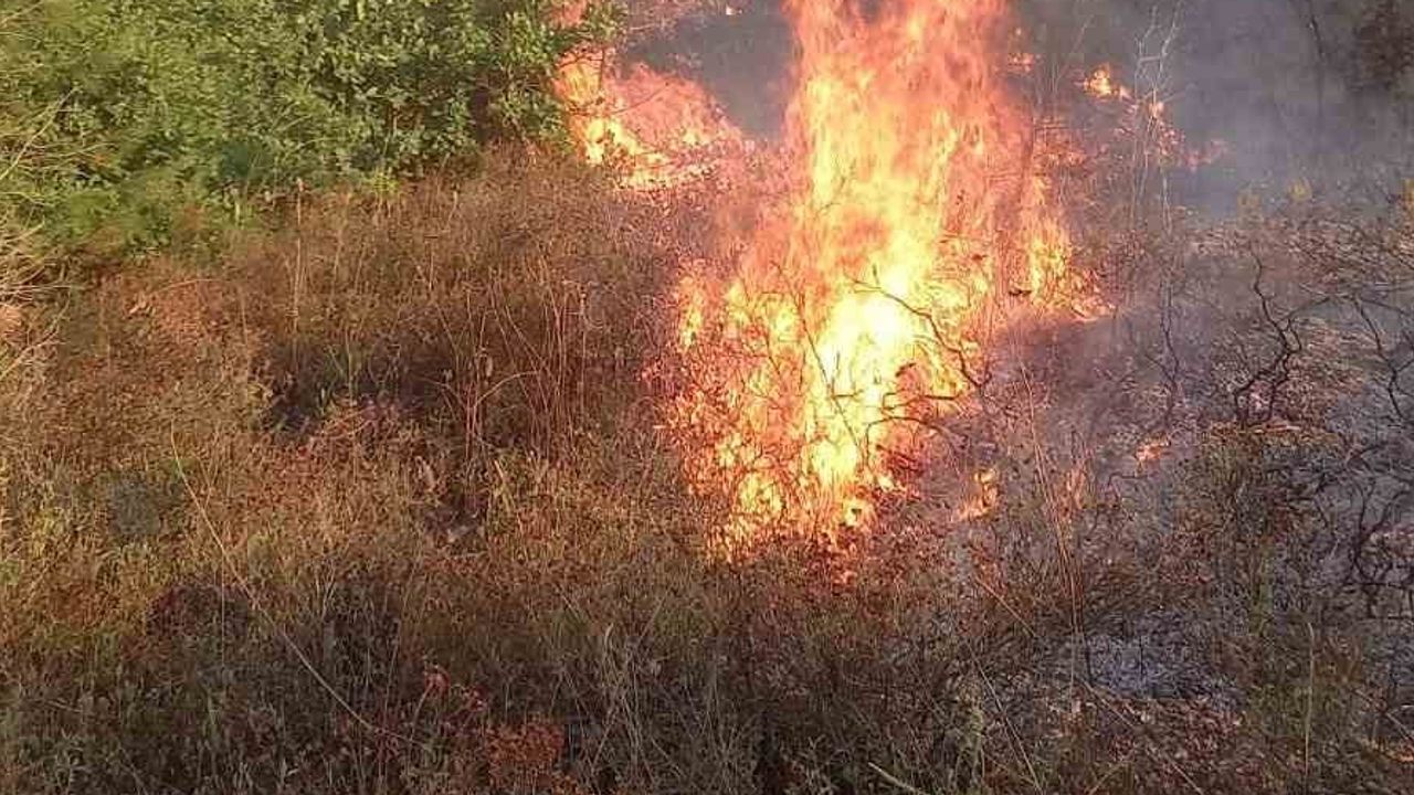 Kocaeli'de Çamdibi çevresinde çıkan orman yangını ekip ve köylü işbirliğiyle söndürüldü