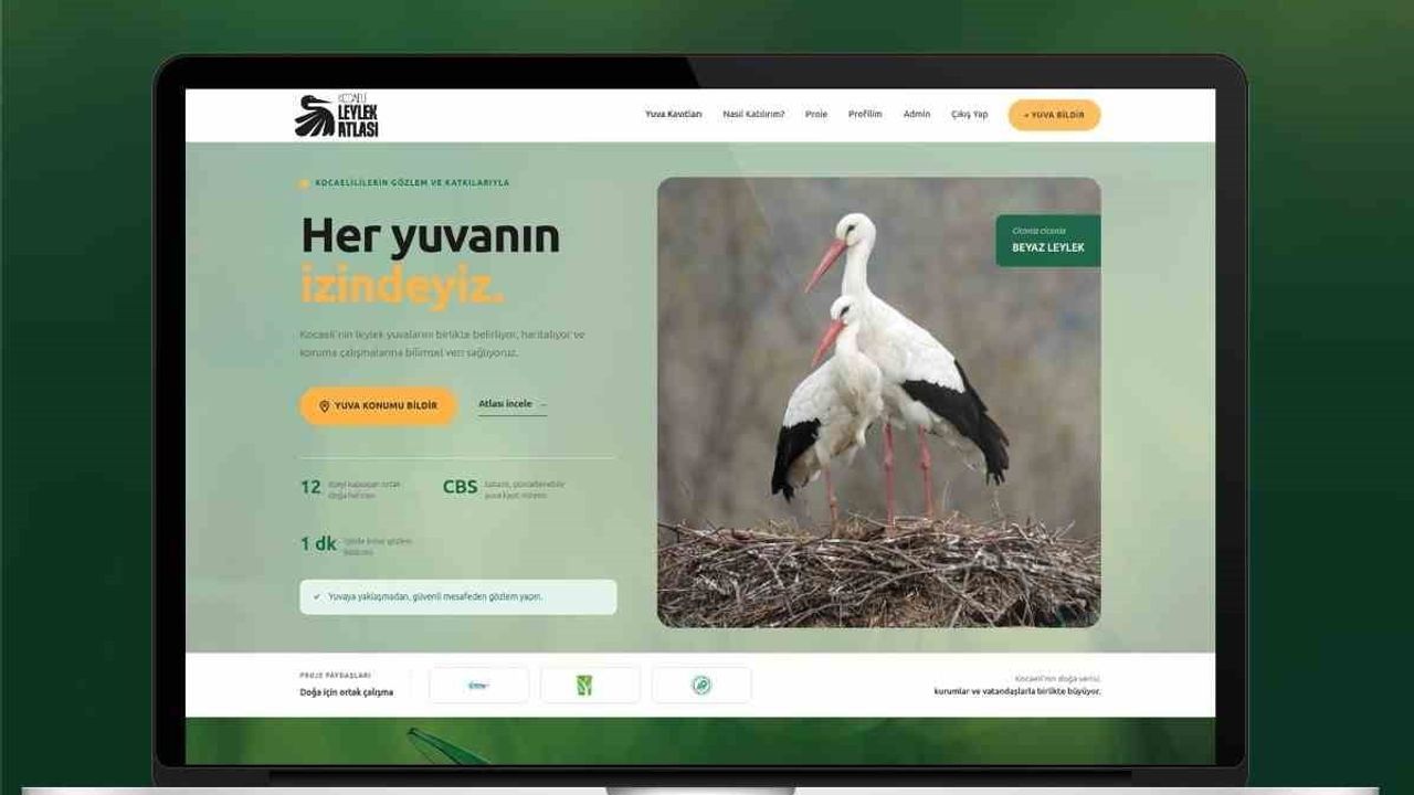 Kocaeli'nin leylek envanteri için kapsamlı haritalama başlıyor
