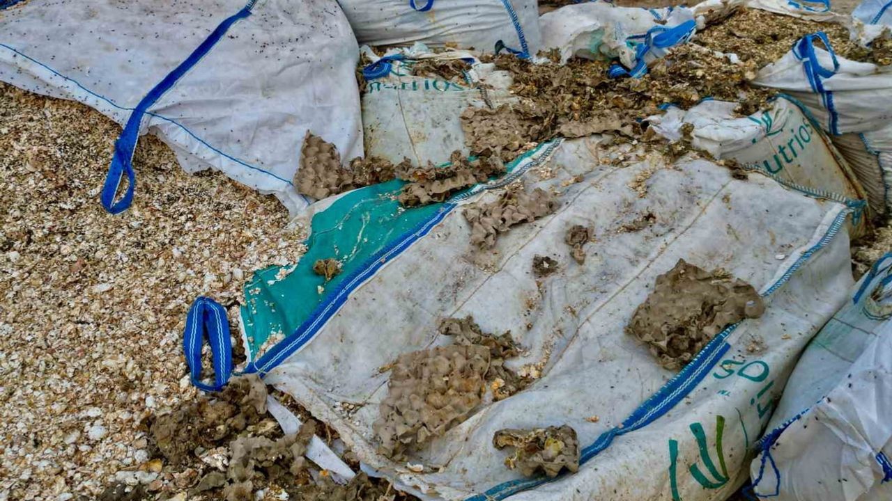 Koku ve atıklar yüzünden Bolvadin'de eski kum ocağı çevreyi tehdit ediyor