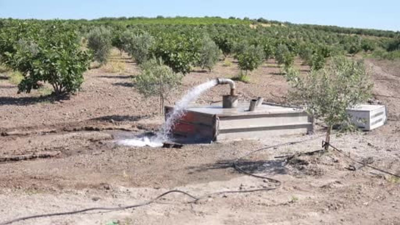 Koldere'ye can suyu: üzüm ve zeytin tarlalarına 2 bin 500 dönümlük destek