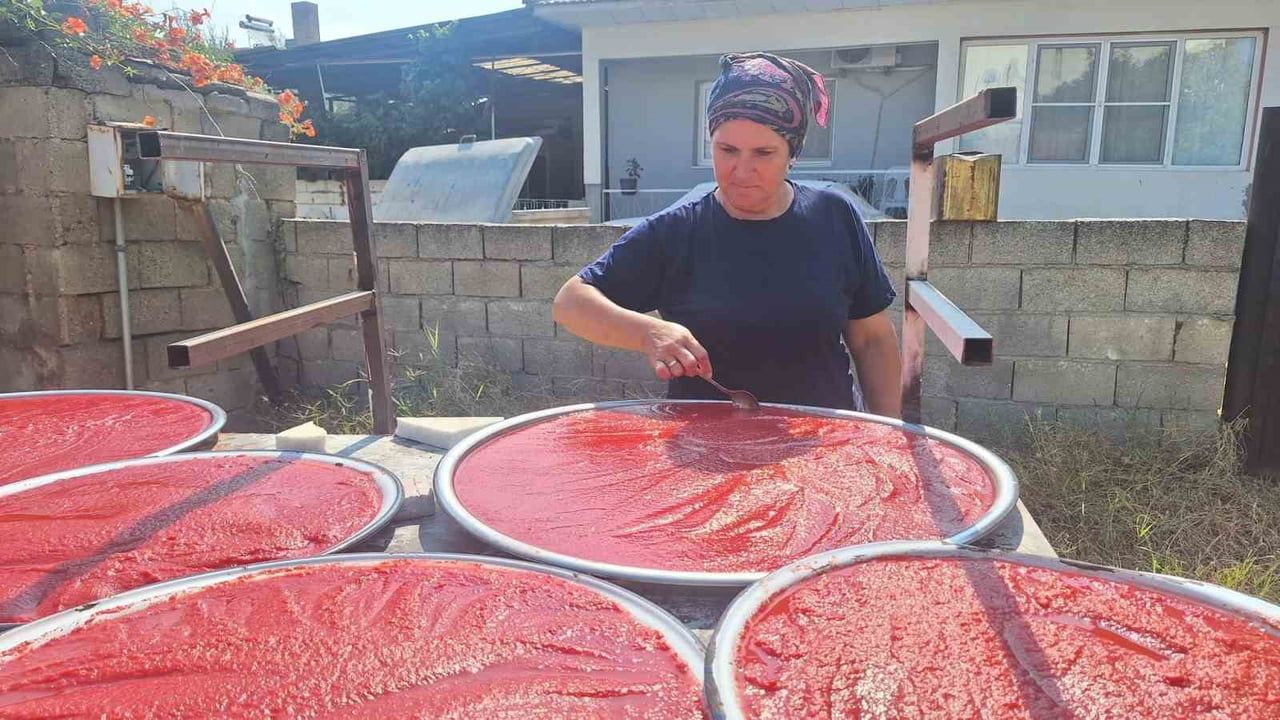 Komşulukla kızgın güneşte: Sarıgöl'de ev yapımı salça mevsimi