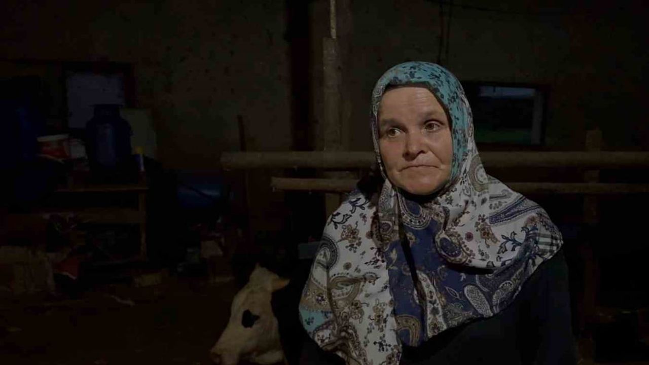 Komşunun danasının kuyruğunu baltayla kestiği iddiası suç duyurusuna dönüştü