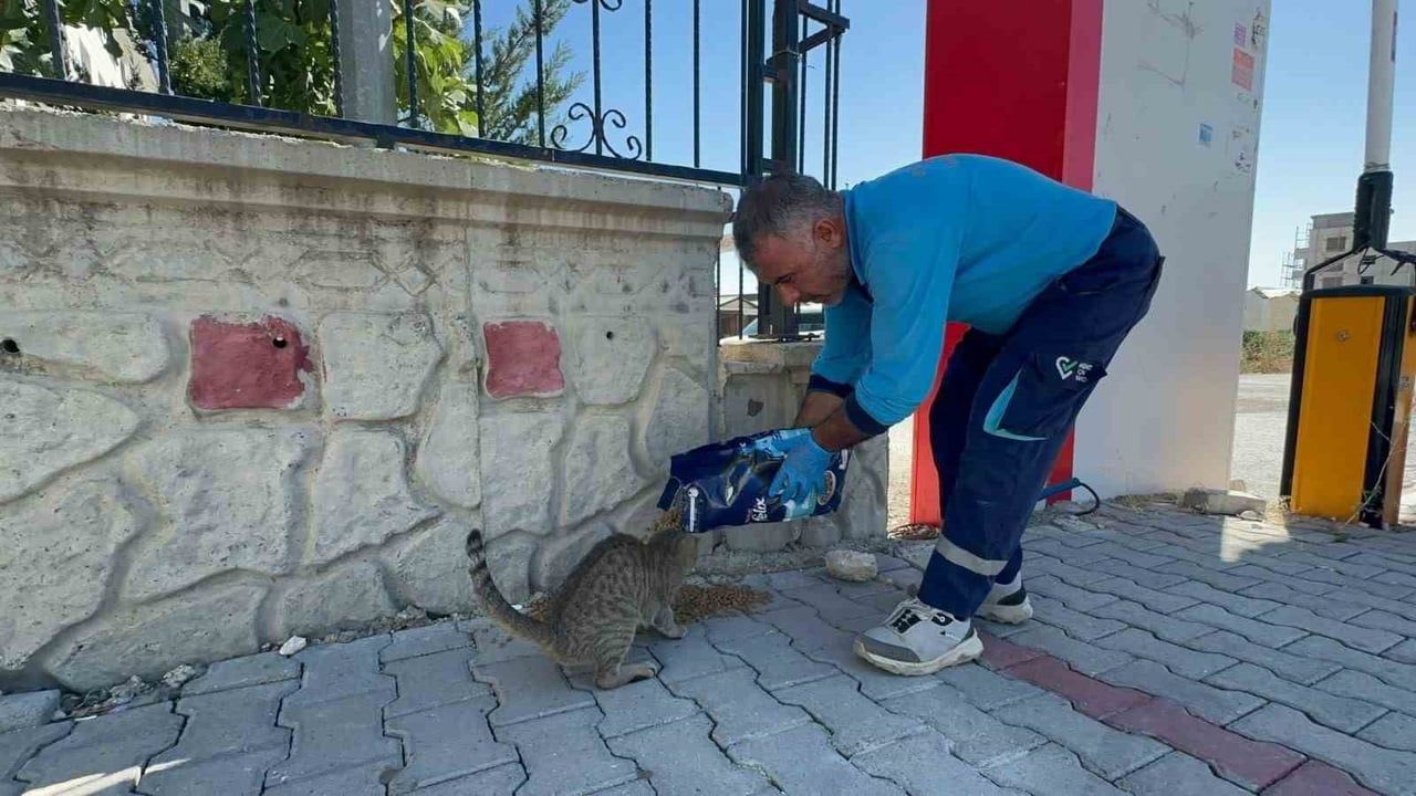 Konteyner kentlerde kalan hayvanlara düzenli mama ve su desteği