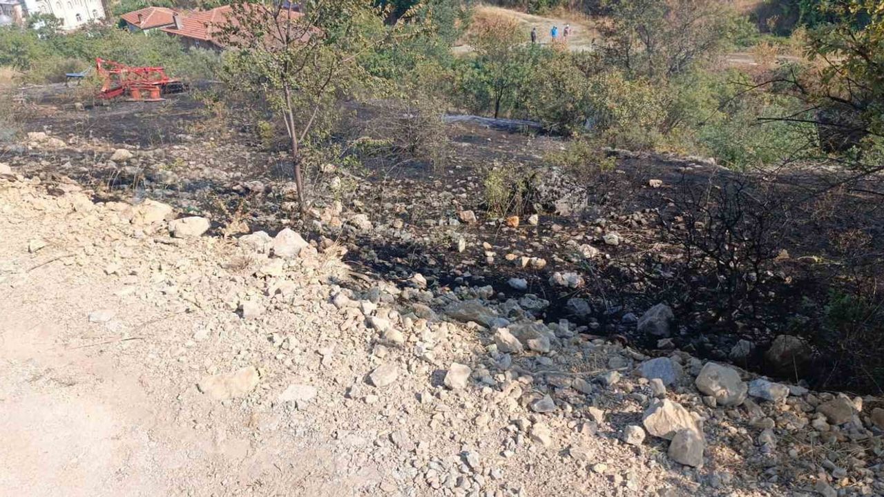 Kopan teller Abbaslık'ta 7 dönümlük alanı kül etti
