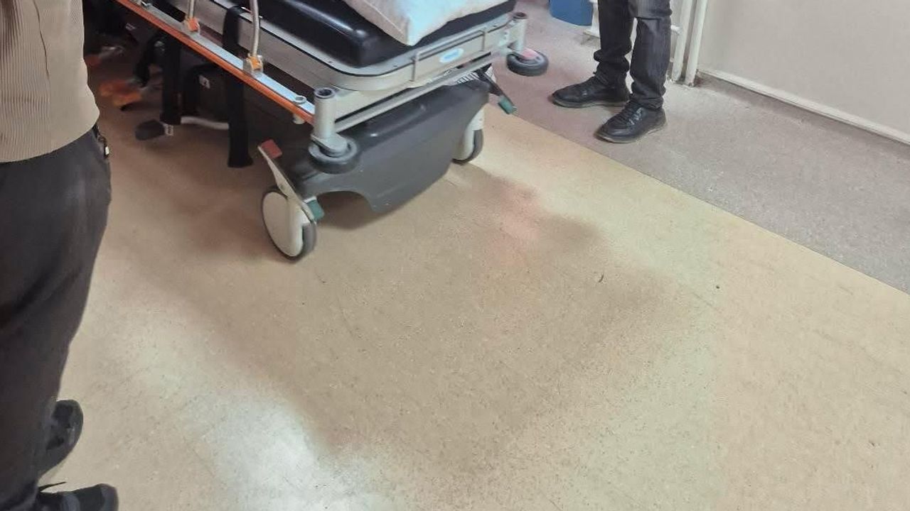 Köpeklerin müdahalesi çobanın yaşamını kurtardı